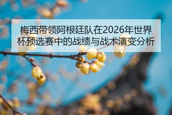 mei-xi-dai-ling-a-gen-ting-dui-zai-nian-shi-jie-bei-yu-xuan-sai-zhong-de-zhan-ji-yu-zhan-shu-yan-bian-fen-xi-2-151.jpg