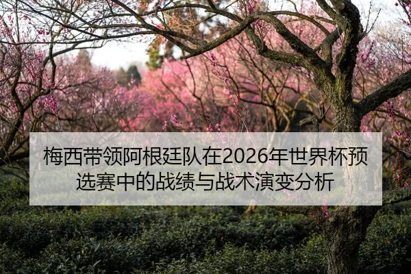 梅西带领阿根廷队在2026年世界杯预选赛中的战绩与战术演变分析